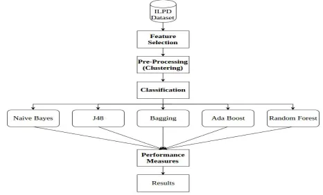 Table 1. ILPD Dataset Attributes 