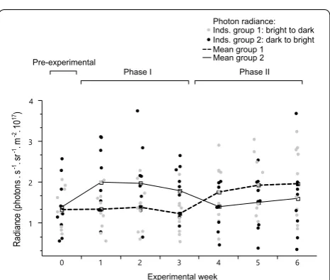 Table 1 Fluorescence brightness in  response to  ambient spectrum and  brightness (adequate minimal linear mixed model)