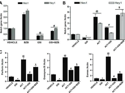 Figure 10: bortezomib-mediated effect on t cell effector molecules is linked to Notch signaling