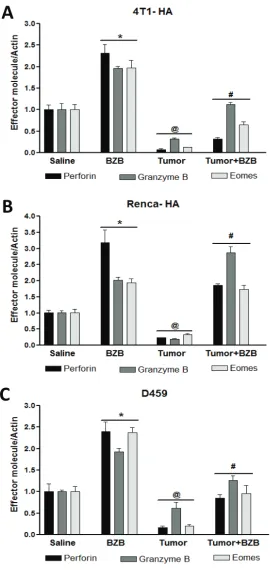 Figure 1: bortezomib enhances expression of effector molecules in splenocytes of tumor-bearing mice
