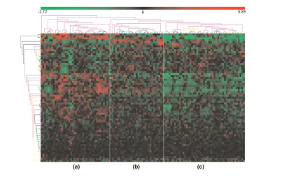 Figure 6Clustering of expression of genes associated to inflammation. Shown is hierarchical clustering of gene-centred expression of the 65 genes presentin the IFN-γ, TNF, IL-1β and MCP-1/CCL2 gene functional association networks