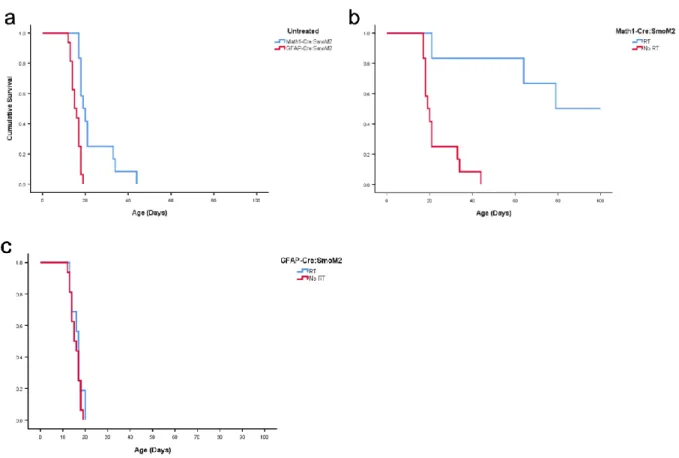 Fig. 2 Survival analysis of M-Smo and G-Smo mice. a) Kaplan-Meyer curve of untreated M-Smo and G-Smo mice  (p = 0.00003, log-rank test) b) Kaplan-Meyer curve of untreated M-Smo and radiation treated M-Smo mice (p = 