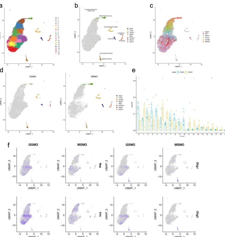 Fig. 3 Single-cell transcriptomic analysis of M-Smo and G-Smo tumors. a) UMAP projection of tumor cells from  M-Smo and G-Smo mice color coded by clusters