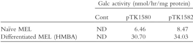 TABLE II. Novel Lentiviral Vectors Carrying the IHK Promoter Demonstrate Erythroid Specific Expression of GALC in  Differen-tiated MEL Cells*