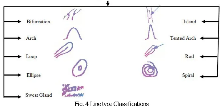 Fig. 4 Line type Classifications 