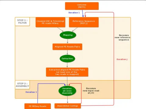 Fig. 2 The method diagram. For the first iteration, HiSeq 2000 short reads were submitted as “input short read” while longer reads from MiSeq are submitted as “input long reads”