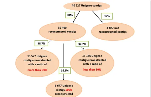 Fig. 5 The results of a local BLAST between the 40,227 Unigene contigs allow the estimation of the reconstruction rate of 35,400 de novo contigs at the end of the assembly (iteration I6)