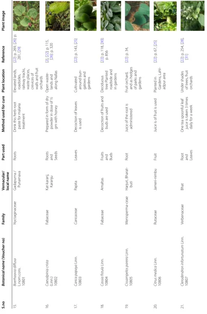 Table 3 continued