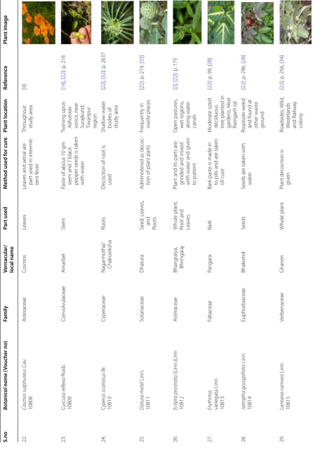 Table 3 continued