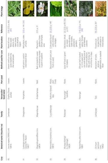 Table 3 continued