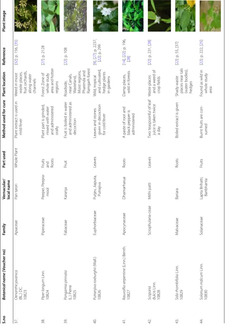 Table 3 continued