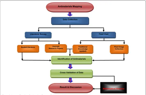 Fig. 2 Schematic flowchart for the identification of antimalarial plants