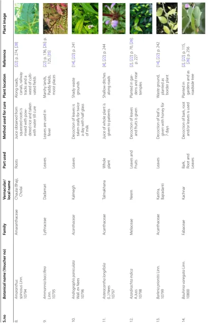 Table 3 continued
