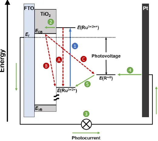 Figure 1.6. A schematic representation of an n-type DSSC using a generic Ru II  polypyridyl  chromophore (Ru) and redox mediator (R)