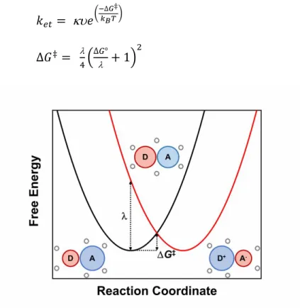 Figure  1.8.  One-dimensional  potential  energy  surfaces  for  the  nonadiabatic,  self-exchange  electron  transfer  between  an  electron  donor,  D,  and  an  electron  acceptor,  A