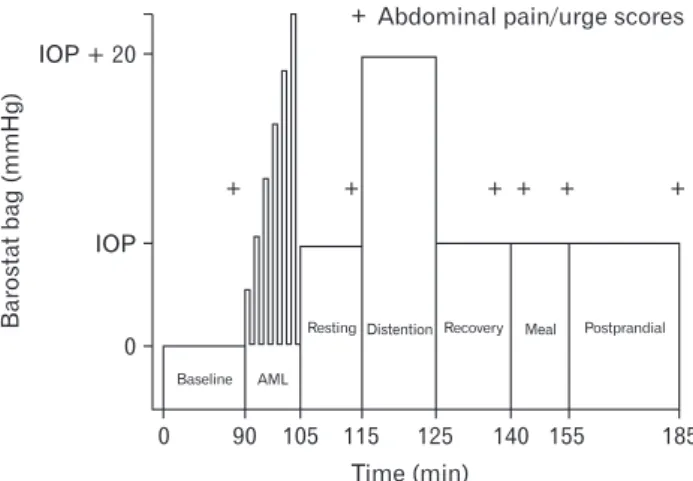 Figure 1.  Study protocol. IOP, individual operating pressure; AML,  ascending method of limits.