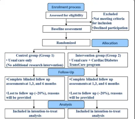Fig. 1 Study design and procedure overview
