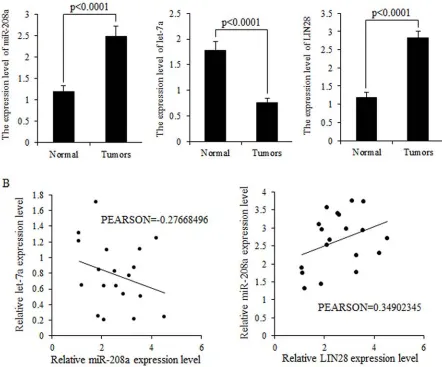 Figure 2: Expression levels of miR-208a and LIN28 mRNA are inversely correlated with that of let-7a in tumors