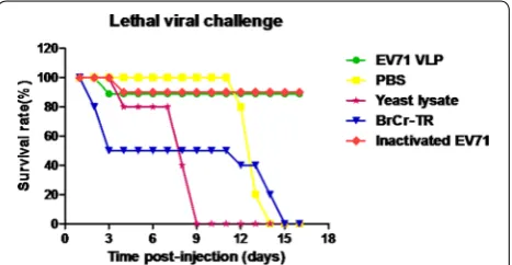 Fig. 5 In vitro neutralization assay. a Cells infected by EV71 Bj08 strain. b Cells infected by EV71 BrCr-TR strain