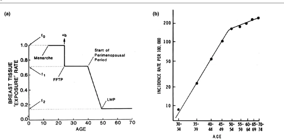 Figure 3(a) Pike model of mammary carcinogenesis. (b) Age-specific incidence of breast cancer – observed and predicted by the Pike model
