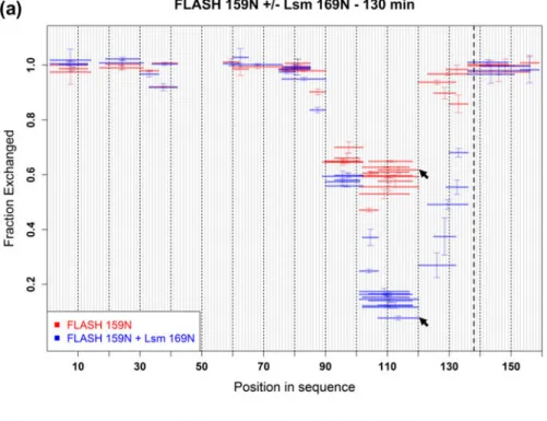 Fig. 3. H/D exchange in FLASH in the apo-state and bound to Lsm11