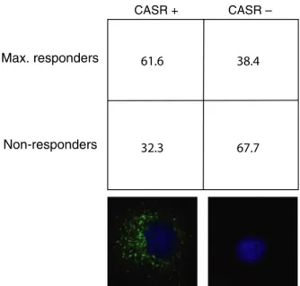 Fig. 3 Relationship of calcium responsiveness and CASR expression.