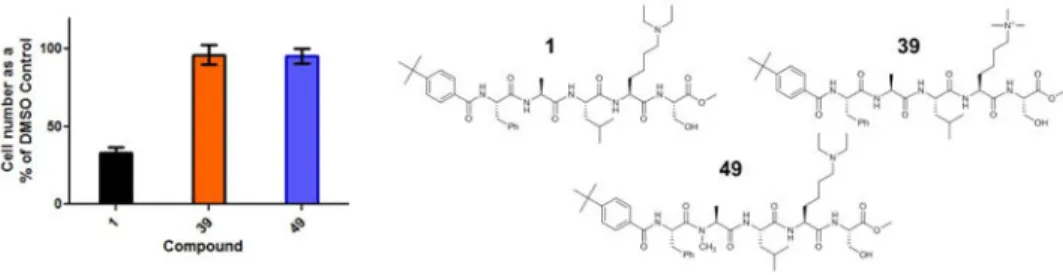 Figure 4. Effect of compounds 1, 39, and 49 on PC3 cell proliferation