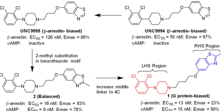 Figure 1. Discovery of compound 1, a G protein-biased D2R partial agonist
