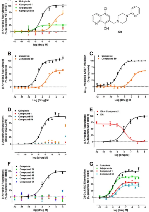 Figure 3. Compounds 1, 24, 46, 49, 53, and 54 do not activate β-arrestin recruitment in the D2R- D2R-mediated BRET assay while compound 59 is a partial agonist in the D2R β-arrestin-2 