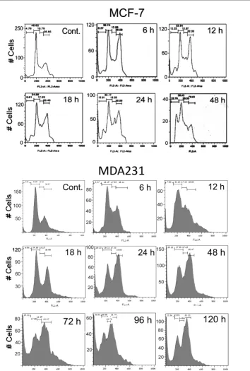 Figure 3GG2(10 2/M arrest and cell death in MCF-7 and MDA231 treated with PJ-34. The effect of PJ-34 on the cell cycle was examined with flow cytometry
