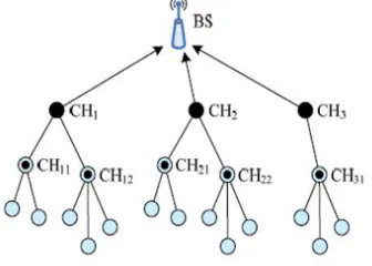Figure 1: The Two-level Hierarchy in TL-LEACH [9] 