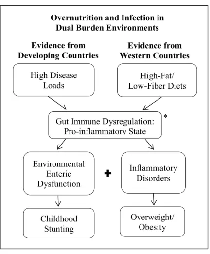 Figure 1.1 Conceptual model of the health consequences of the dual  burden environment 