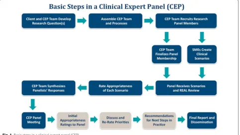 Fig. 1 Basic steps in a clinical expert panel (CEP)