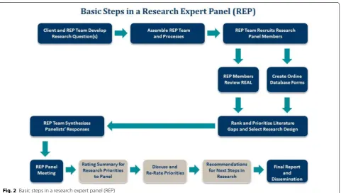 Fig. 2 Basic steps in a research expert panel (REP)