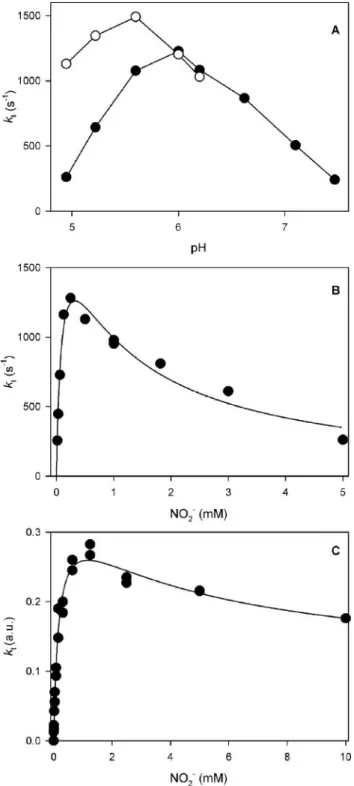 FIGURE 2. Kinetic constants measured by protein film voltammetry. A, reductive cur- cur-rent versus time upon subsequent nitrite additions