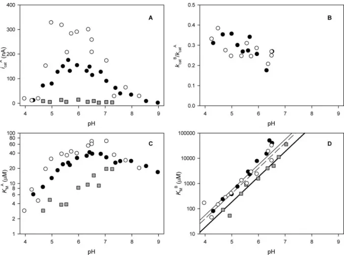 FIGURE 4. Kinetic constants of electrode-immobilized NiR versus pH. Open circles denote the kinetic constants of wt NiR determined on a pyrolytic graphite edge electrode held at ⫺70 mV versus NHE, closed circles denote those determined at ⫹110 mV versus NH