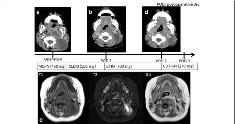 Figure 3 Postoperative progress. (a) Preoperative neck CT angiography image. (b) CT image on postoperative day (POD) 3, showing improvementof the retropharyngeal abscess but recurrence of the posterior neck swelling