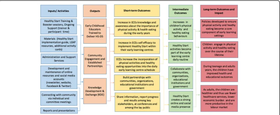 Fig. 1 HS-DS Implementation Program Logic Model
