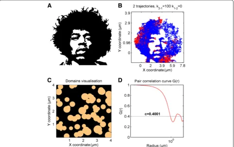 Figure 3 TrackArt SIM. A. Binary image used for import as a domain map. B. Simulation of two particle trajectories moving with D = 2 μm2/s,k12 = 0 and k21 = 100