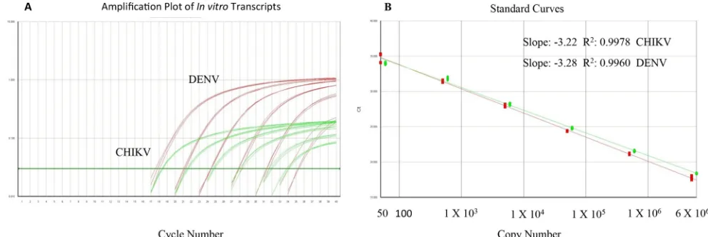 TABLE 2 Detection and precision analysis of the DENV/CHIKVmultiplex RT-PCR