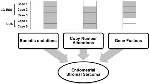 Figure 4: Schematic representation of suggested genetic alterations in endometrial stromal sarcoma