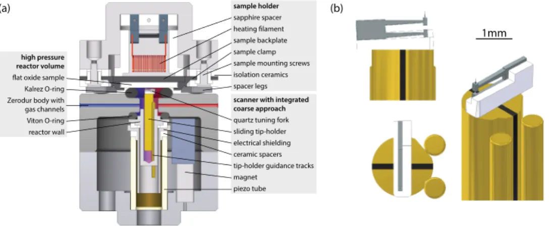 FIG. 1. (a) The AFM version of the scanner /reactor. The QTF is mounted on a magnetic rod that can slide up and down inside the piezo tube