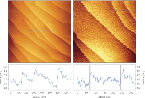 FIG. 3. Mono-atomic steps on a Ag(111) single crystal at room temperature. No post processing has been performed except for line-by-line background subtraction