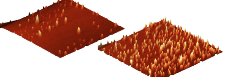 FIG. 5. A three-dimensional view of the images in Figure 4.
