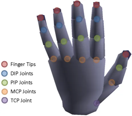 Figure 3: Multiple viewpoint visualization of the non-linearlower dimensional subspace of 87 ASL handshapes of thesynthetic dataset