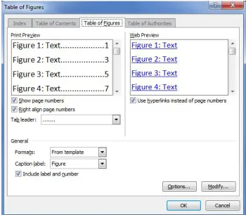 Figure 16: Table of Figure Dialogue Box 