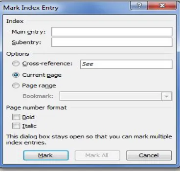 Figure 19: Mark Index Entry Dialogue box 