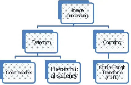 Figure 1.Image processing approaches 