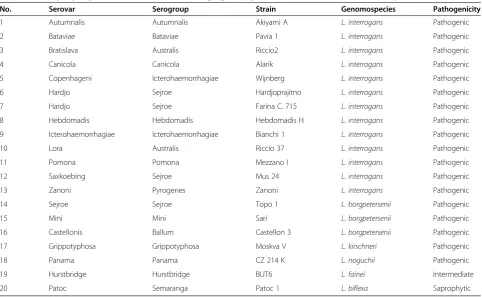 Table 1 Twenty Leptospira reference serovars belonging to 6 species used for MALDI-TOF MS analysis