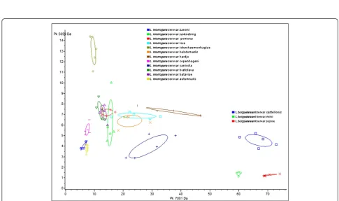 Figure 2 “Main Spectra Profiles”-based dendrogram of the 20 Leptospira sp. reference strains analysed in this study.